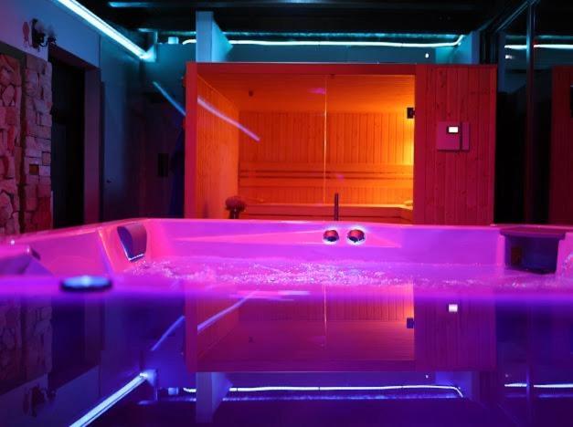 Hanu Lui Gica Spa Satu Mare Exterior foto